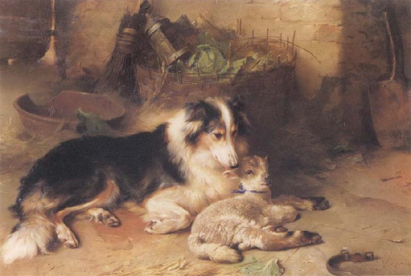 Walter Hunt The Shepherd-s Pet oil painting picture